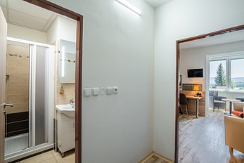 EA Hotel Lipno bei Cerna v Posumavi - Vierbettzimmer, Badezimmer