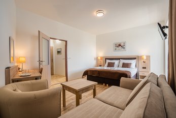 EA Hotel Lipno near Cerna v Posumavi - double room