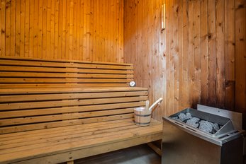 EA Hotel Lipno - sauna